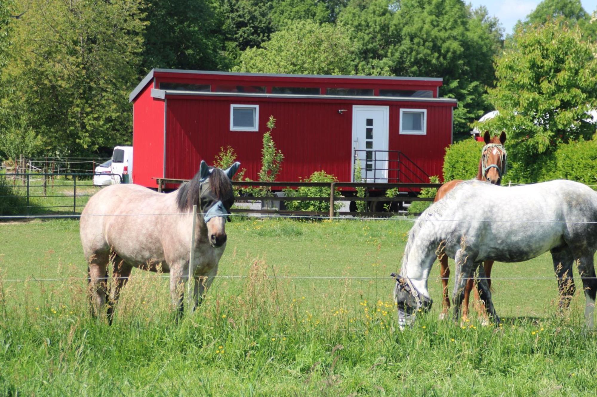 Schlafwagen Domblick Moerenhof Holiday home *